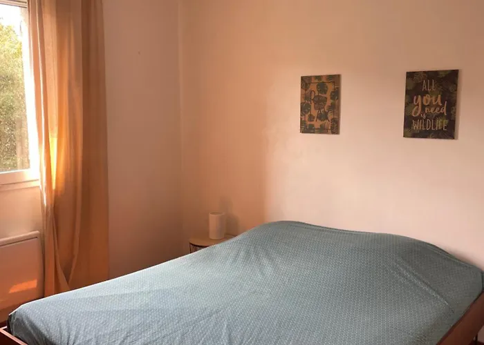 Sartene - - 16 Pers - 8 Pieces - 6 Villa