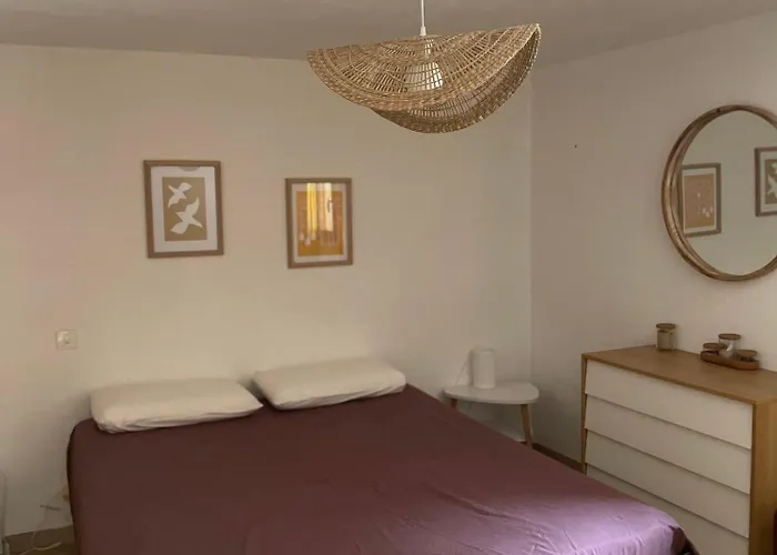 Sartene - - 16 Pers - 8 Pieces - 6 Foce